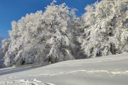 IMG_20230128_160322