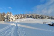 IMG_20230128_161801